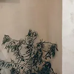 L'ulivo E Il Melograno - Mediterranean *