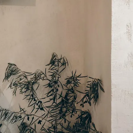 L'ulivo E Il Melograno - Mediterranean *